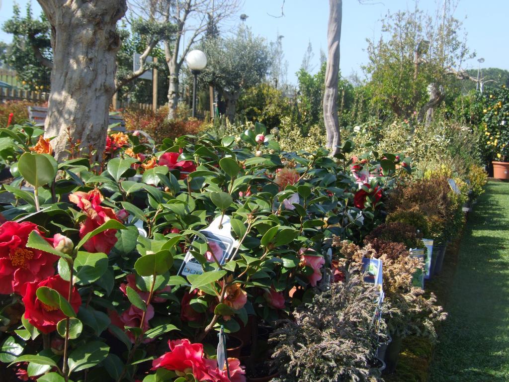 Residenza I Ciclamini Bed & Breakfast Roma Ngoại thất bức ảnh