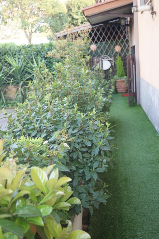 Residenza I Ciclamini Bed & Breakfast Roma Ngoại thất bức ảnh
