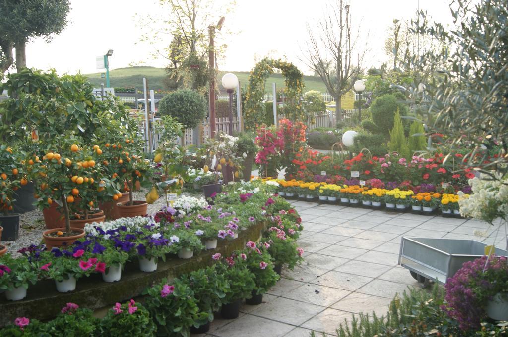 Residenza I Ciclamini Bed & Breakfast Roma Ngoại thất bức ảnh